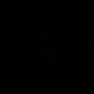 Meet your Posher, Ashleigh